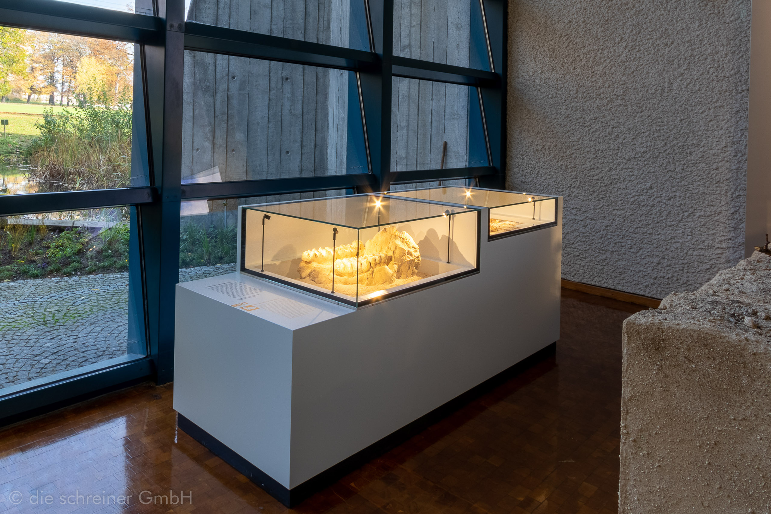 Naturkundemuseum Stuttgart